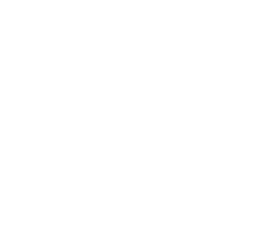 Git Icon